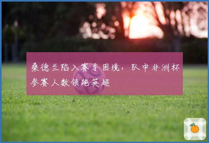 桑德兰陷入赛季困境，队中非洲杯参赛人数领跑英超